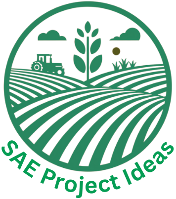 saeprojectideas.com