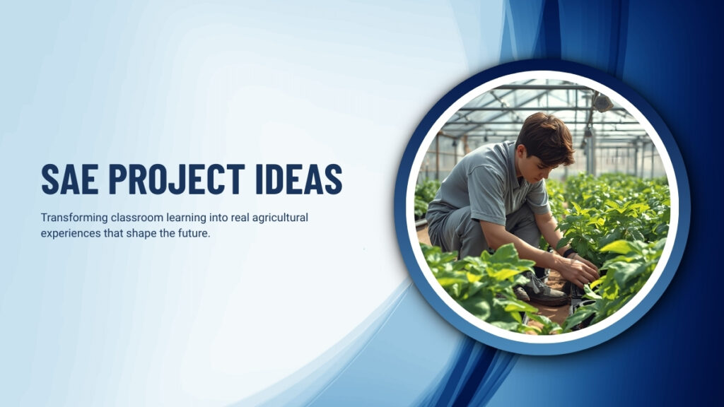 SAE Project Ideas