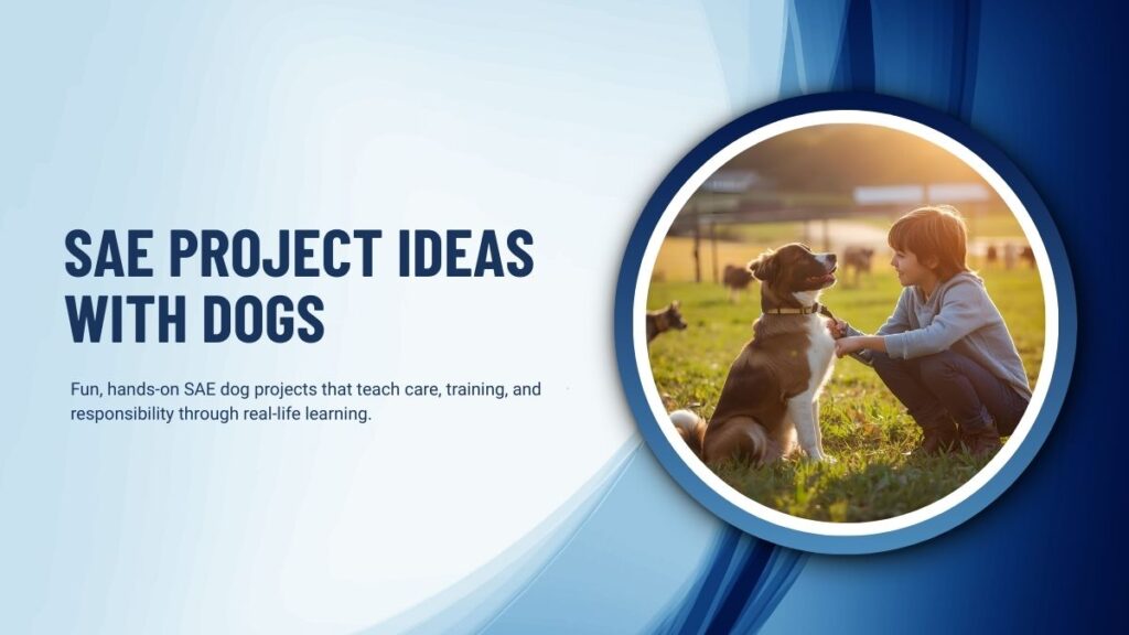 SAE Project Ideas With Dogs