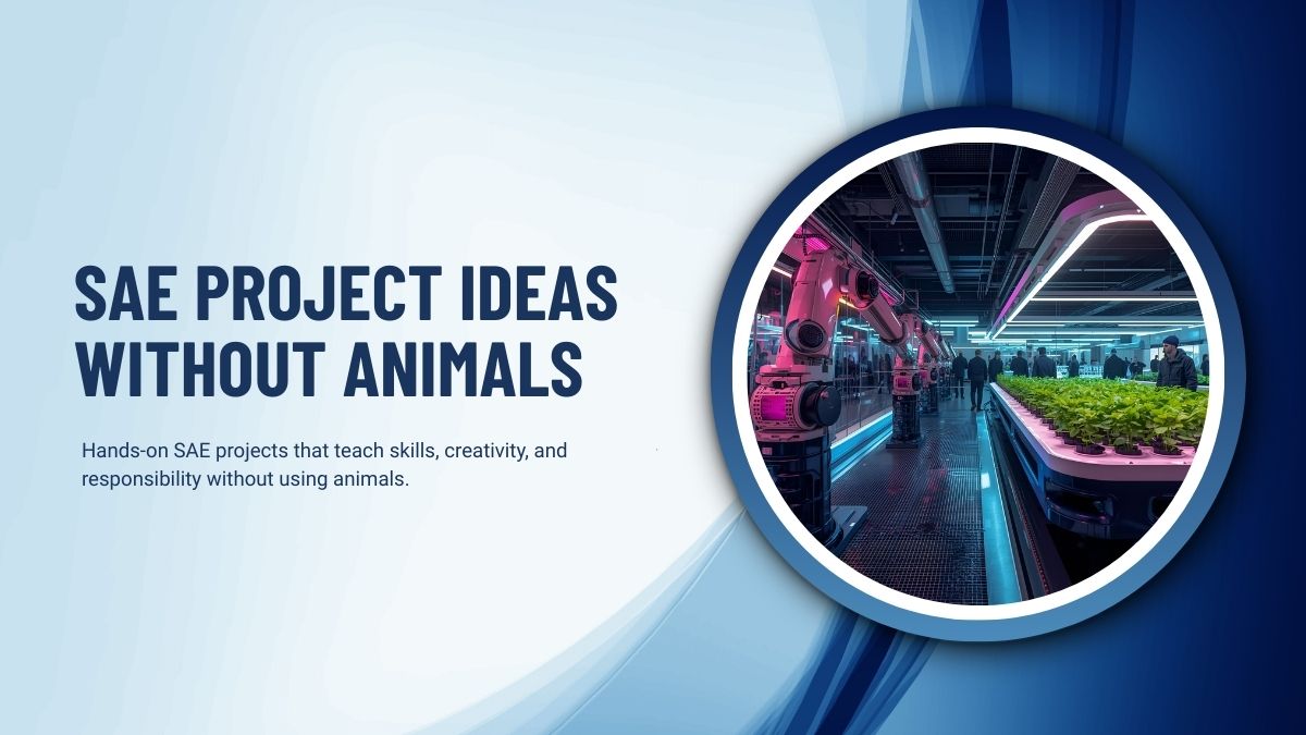 SAE Project Ideas Without Animals