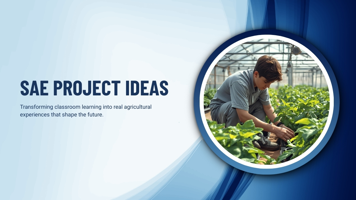 SAE Project Ideas