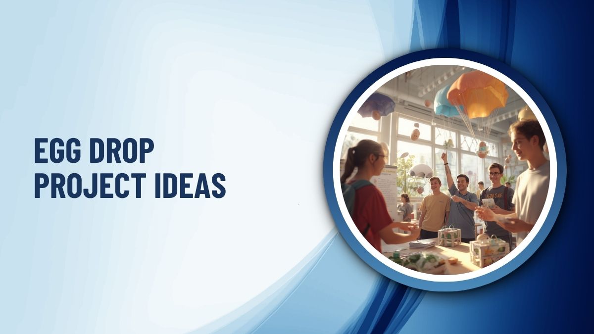 Egg Drop Project Ideas